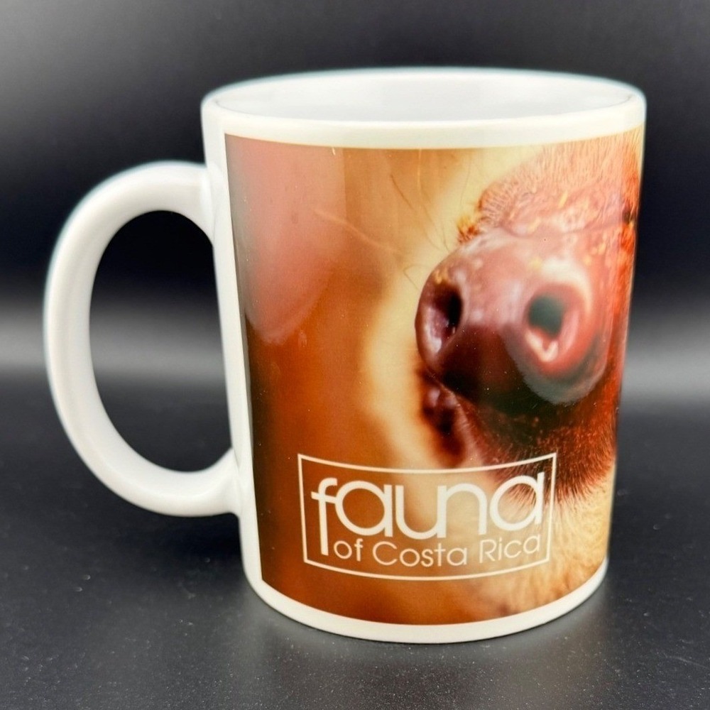 Fauna of Costa Rica Coffee Mug Hoffmans Two Toed Sloth Wildlife Nature Souvenir